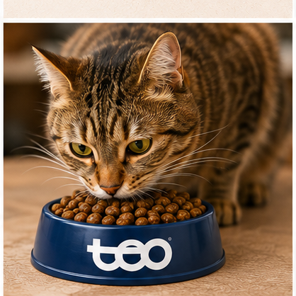 TEO Rich in Beef Dry Cat Food | Complete & Balanced Nutrition for Adult Cats | 800 g