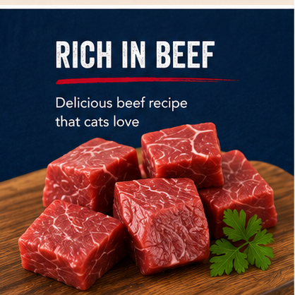 TEO Rich in Beef Dry Cat Food | Complete & Balanced Nutrition for Adult Cats | 800 g