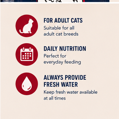 TEO Rich in Beef Dry Cat Food | Complete & Balanced Nutrition for Adult Cats | 800 g